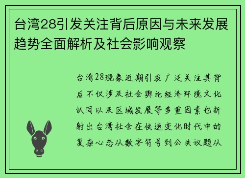 台湾28引发关注背后原因与未来发展趋势全面解析及社会影响观察
